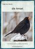 Vogel des Monats. die Amsel. Informationen und Fotos von Edith und Beni Herzog.