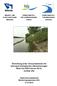 Einrichtung einer Versuchsstrecke mit technisch-biologischen Ufersicherungen Rhein km 440,6 bis km 441,6, rechtes Ufer