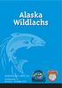 Alaska Wildlachs ALASKA A LA CARTE AG