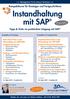 Instandhaltung mit SAP