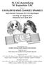 16. CAC-Ausstellung 16 e Exposition CAC CAVALIER & KING CHARLES SPANIELS