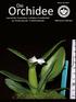 Volume 3(11) Die. Orchidee. Journal der Deutschen Orchideen-Gesellschaft zur Förderung der Orchideenkunde ISSN-Internet