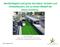 Nachhaltigkeit und grüne Korridore: Verkehr und Umweltkosten, hin zu einem Modell der Green Economy