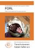 FORL. Tierschutzverein Katzen helfen e. V. Schmerzhafte Zahnerkrankung bei Katzen. Feline Odontoklastische Resorptive Läsionen