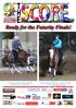 2015 Austrian Reining Horse Association Futurity