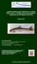Wiederansiedlung des Atlantischen Lachses (Salmo salar L.) im Mainzufluss Schwarzbach Ergebnisse der Erfolgskontrolle 2013