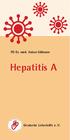 PD Dr. med. Anton Gillessen. Hepatitis A. Deutsche Leberhilfe e. V.