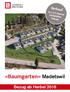 Verkauf Zimmer Einfamilienhäuser. «Baumgarten» Madetswil