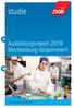 studie Ausbildungsreport 2019 Mecklenburg-Vorpommern