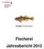 Bau und Umwelt Jagd und Fischerei Kirchstrasse Glarus. Groppe (Cottus gobio)