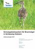 Schutzgebietssystem fürbrachvögel in Schleswig-Holstein Bericht 2017