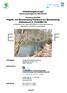 Umsetzungskonzept hydromorphologische Maßnahmen. Flusswasserkörper Pegnitz von Einmündung Flembach bis Einmündung Röttenbach (2_F036/RE116)