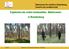 Ministerium für Ländliche Entwicklung, Umwelt und Landwirtschaft. Ergebnisse der ersten landesweiten Waldinventur in Brandenburg