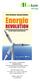 Peter Hennicke, Susanne Bodach Energierevolution Effizienzsteigerung und erneuerbare Energien als neue globale Herausforderung