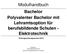 Modulhandbuch Bachelor Polyvalenter Bachelor mit Lehramtsoption für berufsbildende Schulen - Elektrotechnik