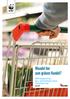 Wandel hin zum grünen Handel? WWF-Ratingbericht des Gross- und Detailhandels Schweiz Food und Near-Food