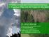 Klimawandelbedingte Extremwetterereignisse in Rheinland-Pfalz und die Folgen für den Wald