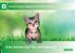 Behandlung gegen Magen-Darm-Würmer bei Katzen. Zum Schutz von Tier und Mensch