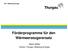 DIV / Abteilung Energie Förderprogramme für den Wärmeerzeugerersatz