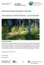 Bewerbung um den Alpinen Schutzwaldpreis Helvetia Tannenverjüngung am Forstbetrieb Berchtesgaden ein großes Erfolgsprojekt