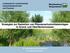 Strategien zur Reduktion von Pflanzenschutzmitteleinträgen in Grund- und Oberflächenwasser