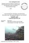 Forschungsbericht. Untersuchung der Wirkung von künstlichen Hartsubstraten auf natürliche Habitate am Großriff Nienhagen, 2005