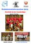 Badmintoninformation 2015