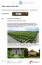Toskana: Gärten, Villen & Wein