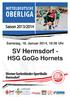 Samstag, 18. Januar 2014, 19:30 Uhr. SV Hermsdorf HSG GoGo Hornets