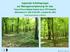 regionale Arbeitsgruppe zur Managementplanung für das Fauna-Flora-Habitat-Gebiet (kurz FFH-Gebiet) Bärenbusch (DE , Landes-Nr.