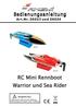 RC Mini Rennboot Warrior und Sea Rider
