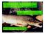 Seit etwa 50 Jahren Entwicklung von Fischpässen auf hydraulischer und fischereibiologischer Grundlage