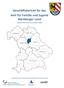 Geschäftsbericht für das Amt für Familie und Jugend Nürnberger Land Jugendhilfeberichterstattung in Bayern (JuBB)