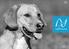 Hund & Herrchen. Happilax ist ein junges Unternehmen, das sich zum Ziel gesetzt hat innovative und moderne Hundezubehörartikel zu entwickeln.