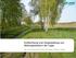 Entflechtung und Umgestaltung von Nebengewässern der Lippe. Dipl. Ing. Michael Wulf, Runder Tisch Lippe, , Haltern