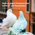 Impfung gegen Paramyxovirose bei Brief- und Rassetauben. Informationen für Taubenzüchter und -halter