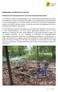 Waldprojekt und Abschied von der Kita