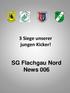 3 Siege unserer jungen Kicker! SG Flachgau Nord News 006