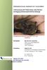 Untersuchung der Fledermäuse unter Berücksichtigung artenschutzrechtlicher Belange